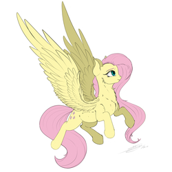 Size: 3000x3000 | Tagged: safe, artist:skitsroom, fluttershy, pegasus, pony, g4, female, high res, mare, simple background, solo, spread wings, white background, wings