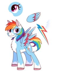 Size: 1461x1881 | Tagged: safe, artist:solareflares, rainbow dash, pegasus, pony, g4, colored wings, confident, cutie mark, ear fluff, eye, female, redesign, simple background, solo, standing, transparent background, wings