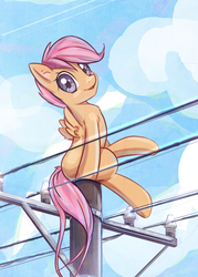 Size: 2254x3152 | Tagged: safe, artist:mirroredsea, scootaloo, pegasus, pony, g4, behaving like a bird, cloud, female, filly, high res, looking at you, looking back, sitting, sky, smiling, solo, telephone pole