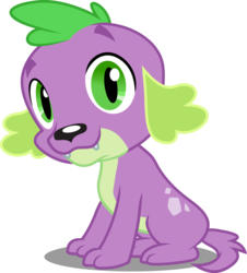 Size: 5000x5525 | Tagged: safe, artist:dashiesparkle edit, edit, editor:slayerbvc, vector edit, spike, spike the regular dog, dog, equestria girls, g4, my little pony equestria girls, absurd resolution, accessory-less edit, looking at you, male, missing accessory, paws, simple background, sitting, solo, spike the dog, transparent background, vector