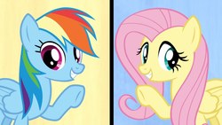 Size: 1920x1080 | Tagged: safe, fluttershy, rainbow dash, flutter brutter, g4, can i do it on my own, happy, looking at you, singing, smiling