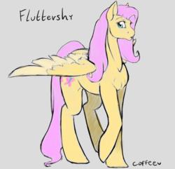 Size: 704x680 | Tagged: safe, artist:the-coffee-cobra, fluttershy, pegasus, pony, g4, cutie mark, female, gray background, mare, raised hoof, simple background, solo