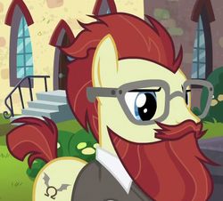 Size: 605x546 | Tagged: safe, screencap, ginger beard, earth pony, pony, g4, the parent map, background pony, beard, cropped, facial hair, glasses, male, messy hair, moustache, sire's hollow, solo, stallion