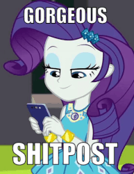 Size: 555x720 | Tagged: safe, edit, edited screencap, screencap, rarity, equestria girls, g4, my little pony equestria girls: better together, text support, text support: rarity, animated, cellphone, cropped, female, gif, image macro, meme, phone, shitposting, smartphone, solo, text
