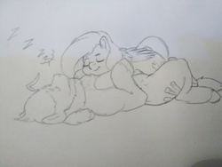 Size: 1944x2592 | Tagged: safe, artist:mr.smile, fluttershy, oc, oc:boulder, earth pony, pony, g4, bouldshy, canon x oc, female, lying on top of someone, male, mare, pencil drawing, shipping, sleeping, stallion, straight, traditional art, zzz