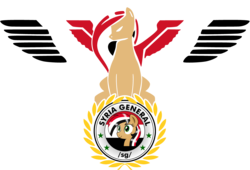 Size: 4419x3000 | Tagged: safe, oc, oc:syriana, alicorn, pony, /mlpol/, alicorn oc, flag, general, logo, reichsadler, reichsalicorn, simple background, spread wings, syria, transparent background, wings