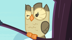 Size: 1280x720 | Tagged: safe, screencap, owlowiscious, bird, owl, g4, inspiration manifestation, male, one eye closed, perching, solo, tree branch, wink