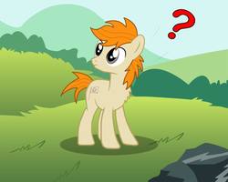 Size: 1000x800 | Tagged: safe, artist:pizzamovies, oc, oc only, oc:pizzamovies, earth pony, pony, confused, cutie mark, grass, grass field, male, question mark, rock, solo
