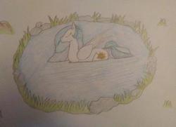 Size: 400x290 | Tagged: safe, artist:stemar-pony, princess celestia, alicorn, pony, g4, colored pencil drawing, eyes closed, female, mare, pegaduck, pond, solo, swanlestia, traditional art, water