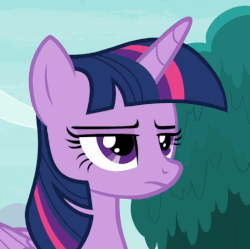 Size: 483x481 | Tagged: safe, screencap, twilight sparkle, alicorn, pony, g4, non-compete clause, animated, cropped, female, frown, gif, mare, raised eyebrow, reaction image, solo, twilight sparkle (alicorn), twilight sparkle is not amused, unamused