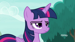 Size: 1920x1080 | Tagged: safe, screencap, twilight sparkle, alicorn, pony, g4, non-compete clause, discovery family logo, female, frown, solo, twilight sparkle (alicorn), twilight sparkle is not amused, unamused