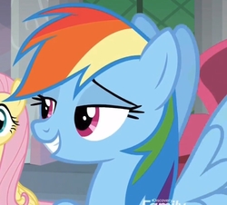 Size: 1226x1107 | Tagged: safe, screencap, fluttershy, rainbow dash, g4, non-compete clause, bedroom eyes, cropped, grin, smiling, solo focus