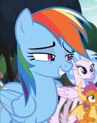 Size: 1069x1360 | Tagged: safe, screencap, rainbow dash, silverstream, smolder, dragon, hippogriff, pegasus, pony, g4, non-compete clause, bedroom eyes, cropped, female, grin, mare, smiling, solo focus