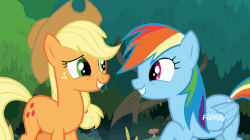 Size: 862x484 | Tagged: safe, screencap, applejack, rainbow dash, earth pony, pegasus, pony, g4, non-compete clause, animated, applejack's hat, blinking, cowboy hat, cute, dashabetes, female, forced smile, gif, grin, hat, jackabetes, mare, raised hoof, smiling