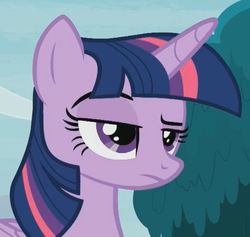 Size: 667x633 | Tagged: safe, screencap, twilight sparkle, alicorn, pony, g4, non-compete clause, cropped, female, frown, mare, raised eyebrow, reaction image, solo, twilight sparkle (alicorn), twilight sparkle is not amused, unamused