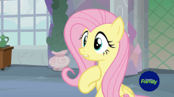 Size: 862x484 | Tagged: safe, screencap, fluttershy, spike, pony, g4, non-compete clause, animated, camera, camera flash, gif, loop, shrunken pupils, squeans