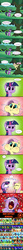 Size: 1654x18289 | Tagged: safe, artist:doublewbrothers, fluttershy, twilight sparkle, oc, alicorn, bee, flash bee, pony, a health of information, g4, comic, dialogue, nicolas cage, not the bees, patreon, patreon logo, puffy cheeks, speech bubble, the wicker man, twilight sparkle (alicorn)