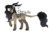 Size: 1024x650 | Tagged: safe, artist:kimyowolf, oc, oc only, oc:chriselle, earth pony, pony, female, horns, mare, simple background, solo, transparent background