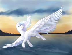Size: 1024x788 | Tagged: safe, artist:daringpineapple, oc, oc only, oc:winter lullaby, pegasus, pony, cloud, cloudy, dusk, female, flying, lake, large wings, looking up, mare, signature, solo, spread wings, water, windswept mane, wings