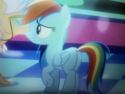 Size: 4032x3024 | Tagged: safe, screencap, apple rose, rainbow dash, pony, g4, grannies gone wild, butt, cropped, plot