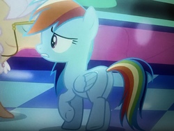 Size: 4032x3024 | Tagged: safe, screencap, apple rose, rainbow dash, pony, g4, grannies gone wild, my little pony: friendship is magic, butt, cropped, plot