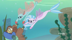 Size: 1280x719 | Tagged: safe, screencap, ocellus, silverstream, yona, seapony (g4), yak, g4, non-compete clause, cloven hooves, discovery family logo, disguise, disguised changeling, female, helmet, seaponified, seapony ocellus, seapony silverstream, species swap, swimming, trio, underwater