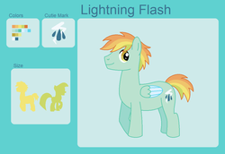 Size: 1084x746 | Tagged: safe, artist:srbarker, oc, oc only, oc:lightning flash, pegasus, pony, male, offspring, parent:rainbow dash, parent:soarin', parents:soarindash, reference sheet, solo, stallion