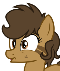 Size: 1982x2344 | Tagged: safe, artist:binkyt11, oc, oc only, oc:binky, earth pony, hybrid, pony, zony, 8^y, bust, faic, female, freckles, inkscape, mare, simple background, solo, transparent background, vector