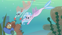 Size: 1920x1080 | Tagged: safe, screencap, ocellus, silverstream, yona, changedling, changeling, seapony (g4), yak, g4, non-compete clause, disguise, disguised changeling, reeds, seaponified, seapony ocellus, seapony silverstream, seaweed, species swap, swimming, underwater