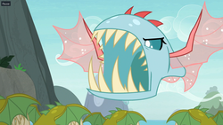 Size: 1920x1080 | Tagged: safe, screencap, ocellus, biteacuda, fish, pony, g4, non-compete clause, angry, discovery family logo, disguise, disguised changeling, fangs, flying, open mouth, roar, spread wings, wings