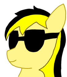 Size: 1440x1660 | Tagged: safe, artist:anonymous, oc, oc:leslie fair, pony, /mlpol/, anarcho-capitalism, bust, face, hoppe, looking, reaction image, sunglasses