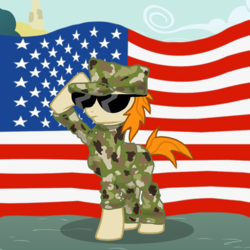 Size: 894x894 | Tagged: safe, artist:pizzamovies, oc, oc only, oc:pizzamovies, earth pony, pony, american flag, army, camouflage, clothes, salute, solo, sunglasses, uniform, united states