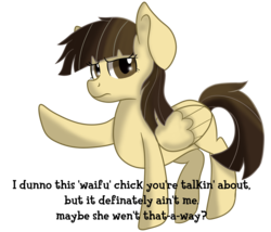 Size: 3500x3000 | Tagged: safe, artist:rainbowtashie, wild fire, pegasus, pony, g4, background pony, dialogue, female, high res, pointing, simple background, solo, talking to viewer, text, transparent background, tsundere, waifu