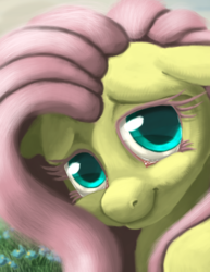 Size: 1391x1800 | Tagged: safe, alternate version, artist:noctomaeus, fluttershy, pegasus, pony, g4, blushing, bust, cropped, female, flower, looking at you, mare, portrait