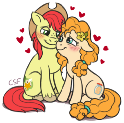 Size: 790x779 | Tagged: safe, artist:cartoonsilverfox, bright mac, pear butter, earth pony, pony, g4, the perfect pear, blushing, couple, cute, eye contact, female, flower, flower in hair, heart, looking at each other, male, mare, pearabetes, ship:brightbutter, shipping, simple background, sitting, smiling, stallion, straight, unshorn fetlocks, white background