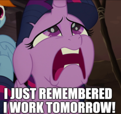 Size: 851x805 | Tagged: safe, edit, edited screencap, screencap, rainbow dash, twilight sparkle, alicorn, pegasus, pony, g4, my little pony: the movie, annoyed, cropped, distraught, ears back, female, frown, image macro, looking up, mare, meme, open mouth, sad, solo focus, twilight sparkle (alicorn), work