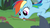 Size: 1280x720 | Tagged: safe, screencap, rainbow dash, pony, g4, non-compete clause, mouth hold, stick