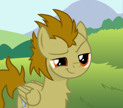 Size: 1200x1063 | Tagged: safe, artist:pizzamovies, oc, oc only, oc:twister breeze, pegasus, pony, cutie mark, grass field, hill, male, smiling, smirk, solo, vector