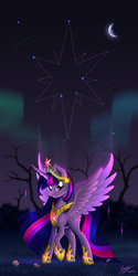 Size: 2500x5000 | Tagged: safe, artist:duskie-06, twilight sparkle, alicorn, pony, g4, big crown thingy, crown, female, jewelry, looking at you, mare, necklace, older, regalia, solo, twilight sparkle (alicorn)