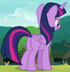 Size: 692x718 | Tagged: safe, screencap, twilight sparkle, alicorn, pony, g4, non-compete clause, butt, cropped, female, mare, plot, solo, twilight sparkle (alicorn)