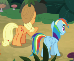 Size: 514x423 | Tagged: safe, screencap, applejack, rainbow dash, pony, g4, non-compete clause, butt, cropped, plot