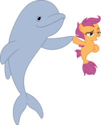 Size: 3000x3696 | Tagged: safe, artist:sollace, scootaloo, dolphin, pony, porpoise, seapony (g4), g4, surf and/or turf, .svg available, high res, implied pun, puns in the comments, seaponified, seapony scootaloo, show accurate, simple background, smiling, smug, species swap, transparent background, vector