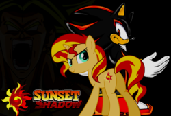 Size: 976x660 | Tagged: safe, sunset shimmer, pony, unicorn, g4, crossover, crossover shipping, female, male, shadow the hedgehog, shipping, sonic the hedgehog, sonic the hedgehog (series), straight