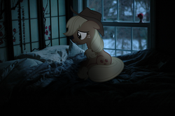 Size: 1024x681 | Tagged: safe, artist:naijiwizard, applejack, earth pony, pony, g4, bed, dim, irl, looking down, night, photo, photoshop, ponies in real life, sad, sitting, solo