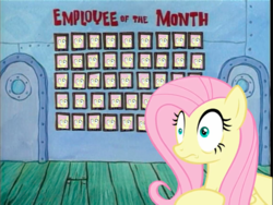 Size: 1074x809 | Tagged: safe, edit, fluttershy, pony, g4, non-compete clause, employee of the month, female, meme, solo, spongebob squarepants, wall of shy