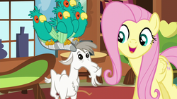 Size: 1280x720 | Tagged: safe, screencap, fluttershy, bird, goat, pegasus, pony, popinjay, castle sweet castle, g4, animal, female, flock, mare, open mouth, perching