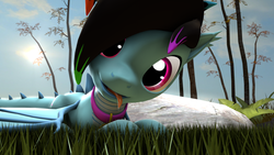 Size: 1280x720 | Tagged: safe, artist:rdashflare, oc, oc only, oc:rdash, dracony, hybrid, 3d, collar, grass, looking at you, lying down, source filmmaker, tongue out