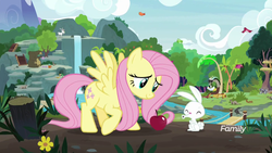 Size: 1920x1080 | Tagged: safe, screencap, angel bunny, clementine, discord, fluttershy, pegasus, pony, rabbit, g4, season 8, apple, duo focus, female, food, intro, male, mare, raised hoof, spread wings, wings