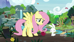 Size: 1920x1080 | Tagged: safe, screencap, angel bunny, clementine, discord, fluttershy, pegasus, pony, rabbit, g4, season 8, apple, duo focus, female, food, intro, male, mare, spread wings, wings