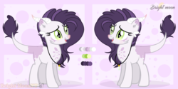 Size: 1024x514 | Tagged: safe, artist:sleppchocolatemlp, oc, oc only, oc:diamond claws, dracony, hybrid, female, interspecies offspring, offspring, parent:rarity, parent:spike, parents:sparity, reference sheet, solo